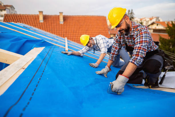 Best Residential Roof Replacement  in Cape Coral, FL